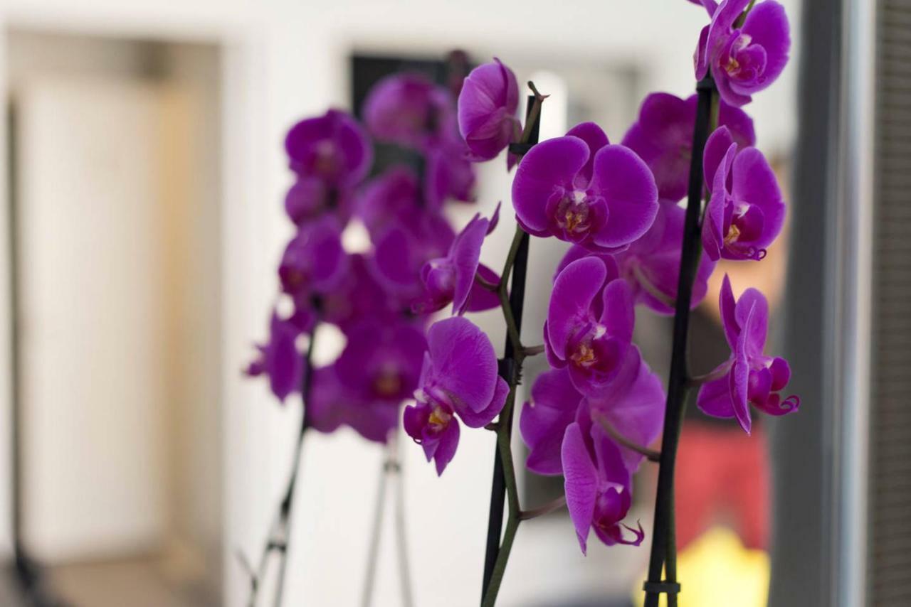Studio Orchidea Helsinki Bagian luar foto