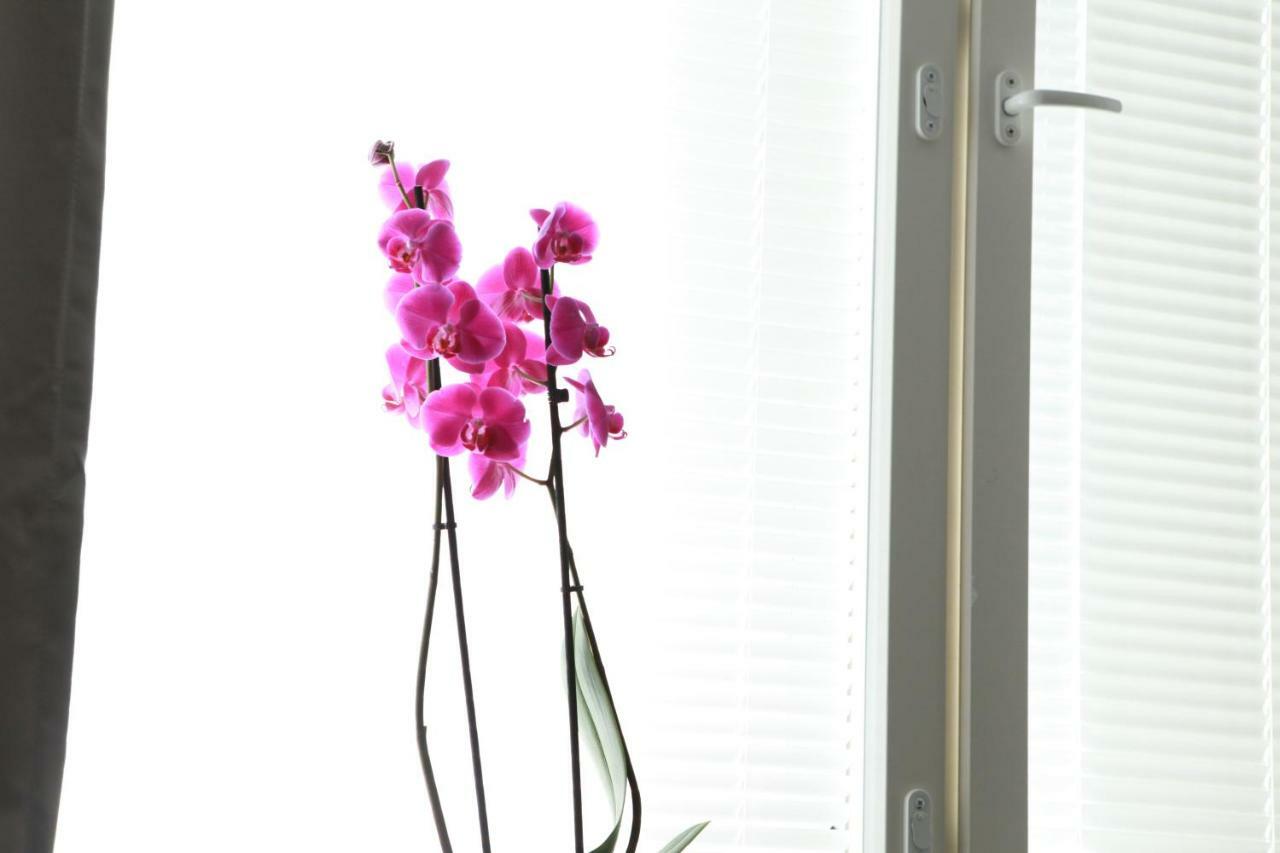 Studio Orchidea Helsinki Bagian luar foto